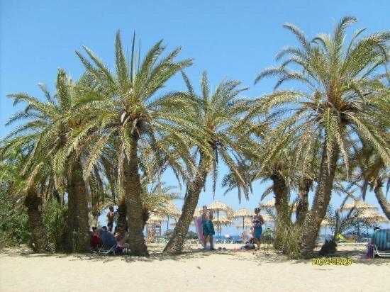 Terrace House Sitia (Crete) Exterior foto